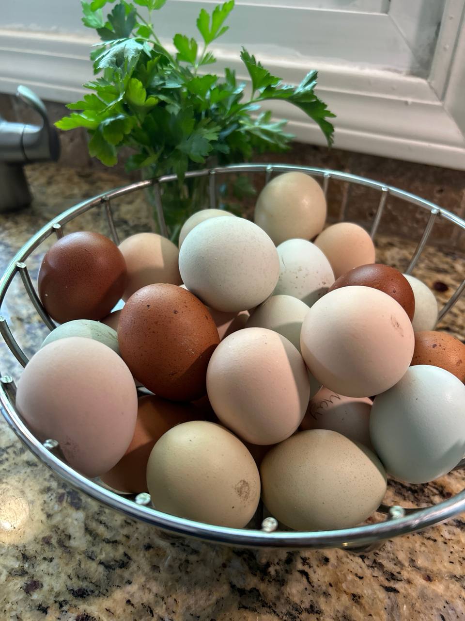 Fresh local eggs in a wire basket with herbs by the kitchen window