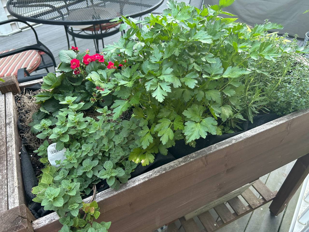 Wooden herb planter filled with oregano, parsley, rosemary and thyme