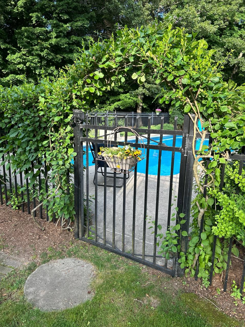 Garden gate and leafy arbor leading toward the pool